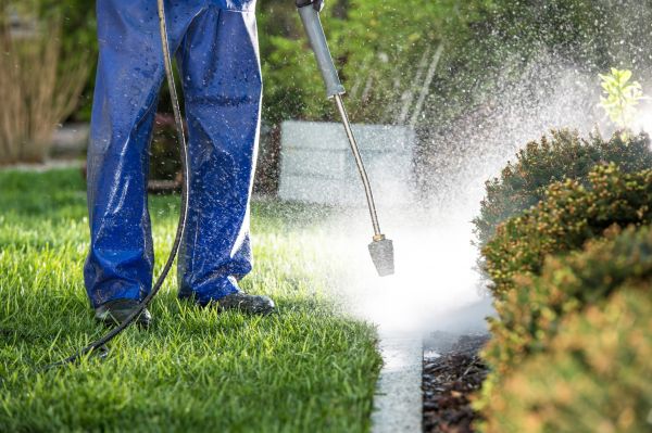 Curb Cleaning in Salem