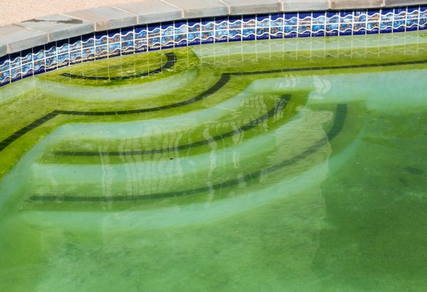 Pool Deck Algae Removal in Salem