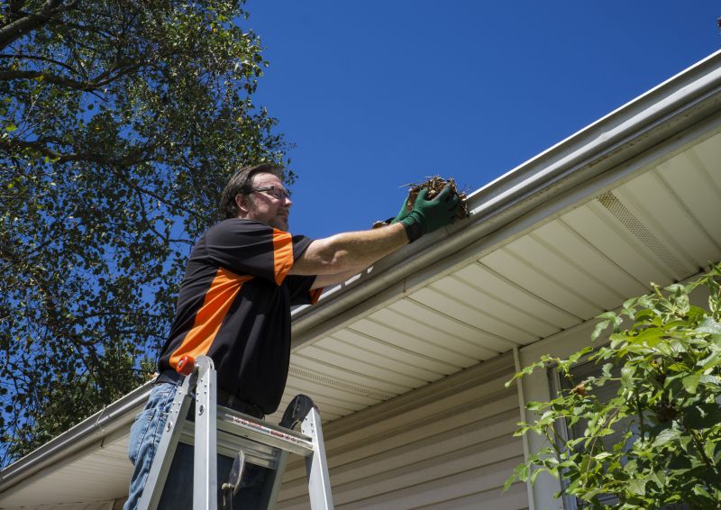 Gutter and Eaves Cleaning
